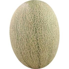 Sunnyphil Hami Melon Local ,Approx. 0.5 kg